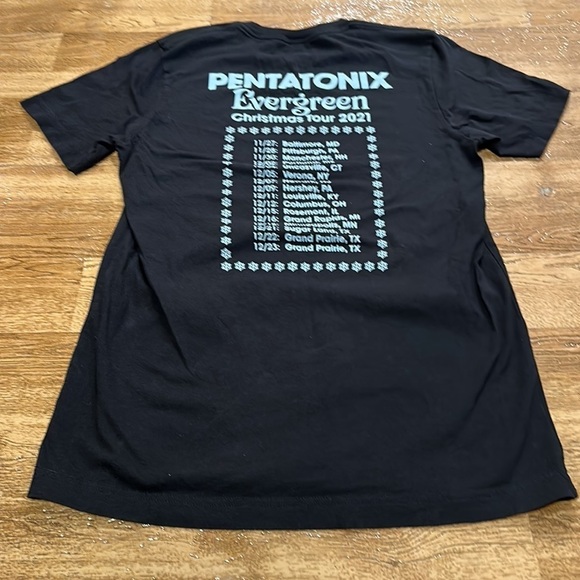 Pentatonix evergreen pop band Arlington Texas men’s medium band tour tee - Picture 5 of 6